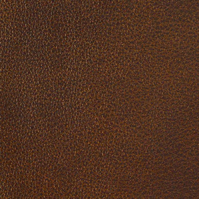 Clarke Treasure by Nassimi Designer Fabric See sample 100% Polyurethane  250000 Horizontal: Not Applicable and Vertical: Not Applicable 54"  - Swanky Fabrics -