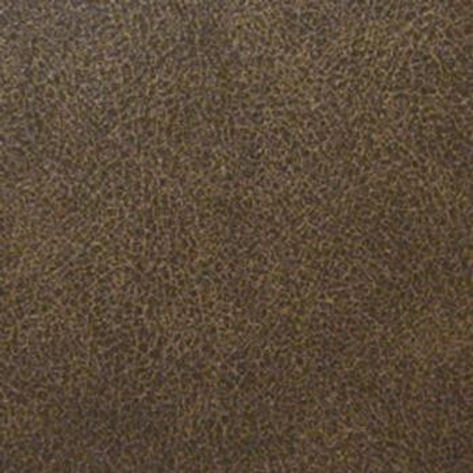 Baron Driftwood EBA-003 by Nassimi Designer Fabric See sample 100% Polyurethane USA or Imported Water-based cleaning agents and foam may be used for cleaning. Cleaning by a professional cleaning service is recommended. </p><p>Repeat: Horizontal: and Vertical: 54" - Swanky Fabrics -