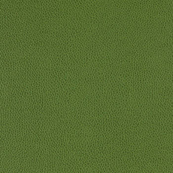 Tolstoy Celtic WTL-003 by Burch Designer Fabric our website for purchase 100% Polyurethane USA or Asia Water-based cleaning agents and foam may be used for cleaning. This fabric may also be cleaned with mild, water-free solvents. Cleaning by a professional cleaning service is recommended. Horizontal: - and Vertical: - 54" - Swanky Fabrics -