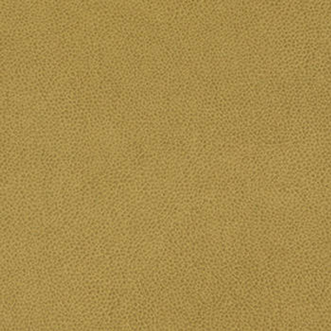 Tolstoy Hazel WTL-009 by Nassimi Designer Fabric See sample 100% Polyurethane USA or Imported Water-based cleaning agents and foam may be used for cleaning. Cleaning by a professional cleaning service is recommended. </p><p>Repeat: Horizontal: and Vertical: 54" - Swanky Fabrics -