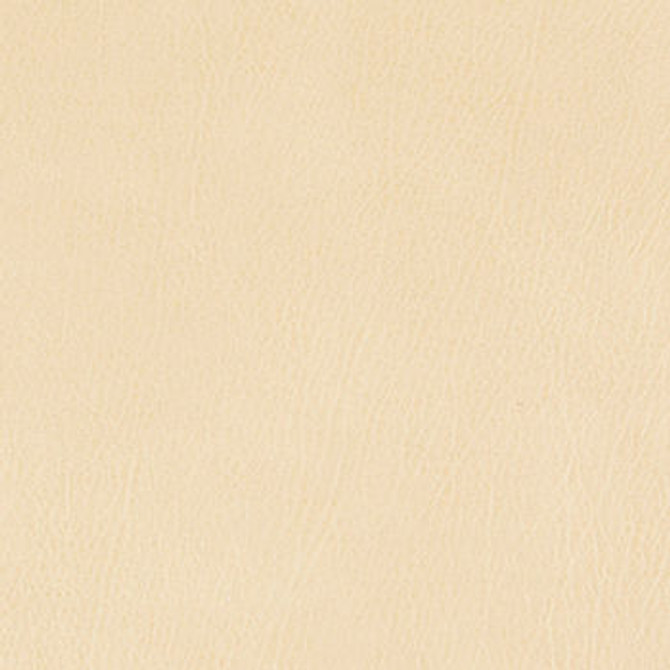 Hemingway Lotion by Nassimi Designer Fabric See sample 100% Polyurethane  250000 Horizontal: Not Applicable and Vertical: Not Applicable 54"  - Swanky Fabrics -