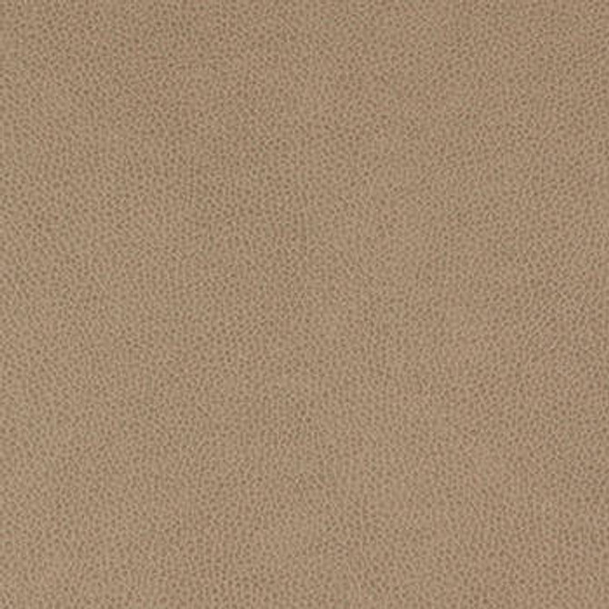Tolstoy Quarry WTL-012 by Nassimi Designer Fabric See sample 100% Polyurethane USA or Imported Water-based cleaning agents and foam may be used for cleaning. Cleaning by a professional cleaning service is recommended.  54  - Swanky Fabrics -