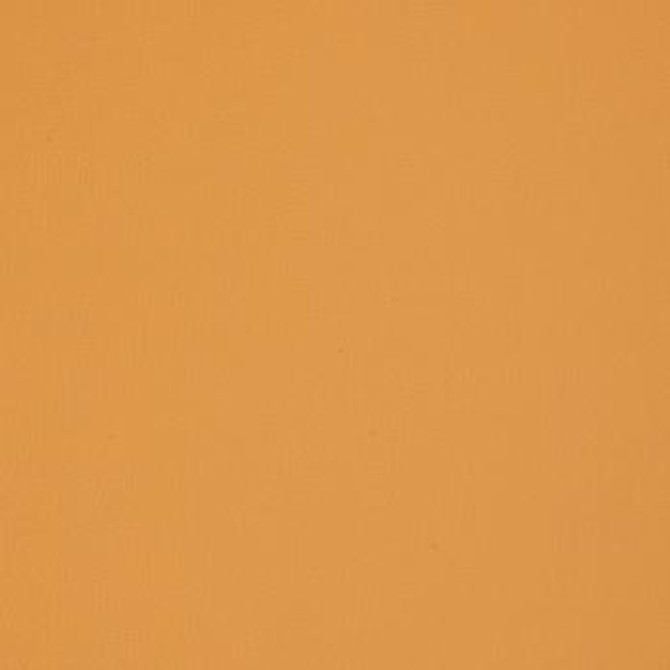 Element Kalahari by Nassimi Designer Fabric See sample 100% Polyurethane  1000000 Horizontal: Not Applicable and Vertical: Not Applicable 54"  - Swanky Fabrics -