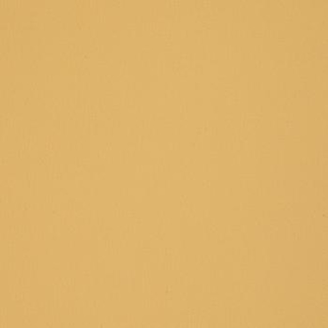 Element Sesame EEL-019 by Nassimi Designer Fabric See sample 100% Polyurethane USA or Imported Water-based cleaning agents and foam may be used for cleaning. Cleaning by a professional cleaning service is recommended. </p><p>Repeat: Horizontal: and Vertical: 54" - Swanky Fabrics -