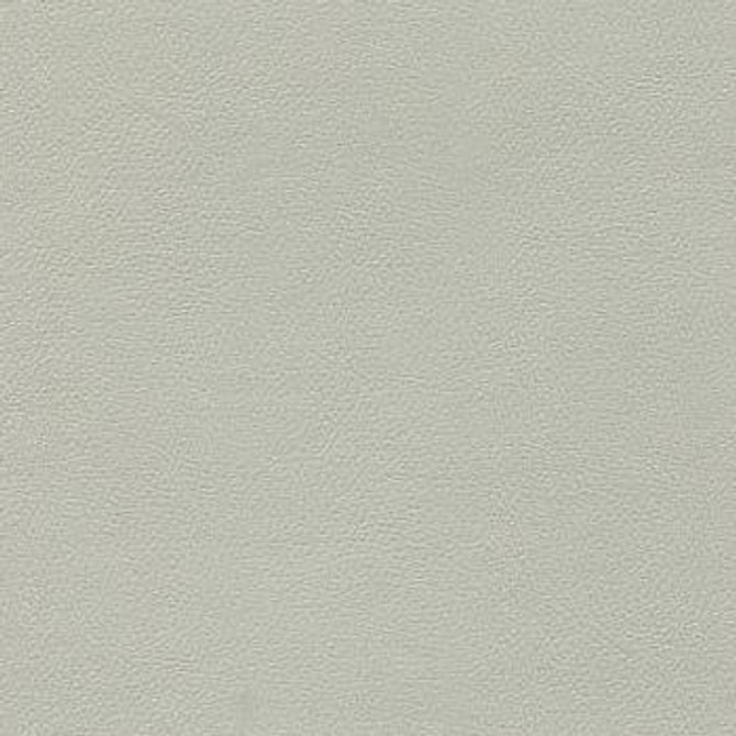 Liberty Alabaster by Enduratex Designer Fabric See sample 100% Vinyl  100000 Horizontal: Not Applicable and Vertical: Not Applicable 54"  - Swanky Fabrics -