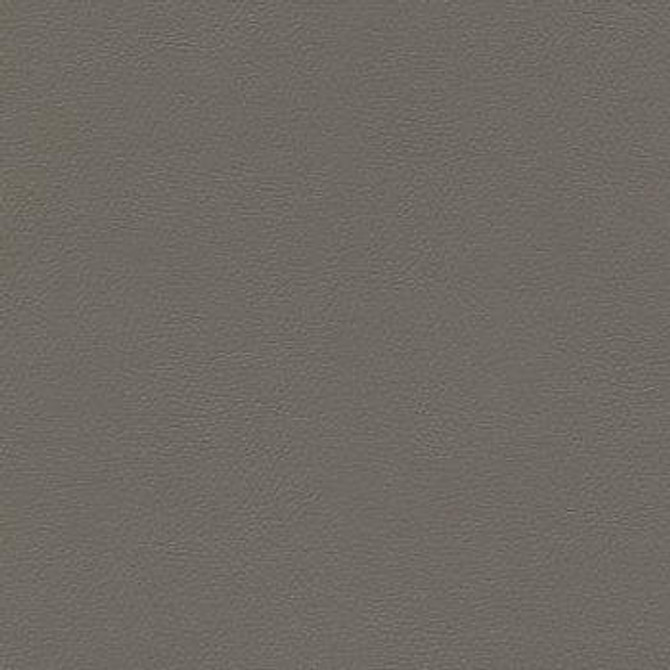 Liberty Gunmetal 1008536 by Burch Designer Fabric our website for purchase 100% Vinyl USA or Asia Water-based cleaning agents and foam may be used for cleaning. Cleaning by a professional cleaning service is recommended. Horizontal: - and Vertical: - 54" - Swanky Fabrics -
