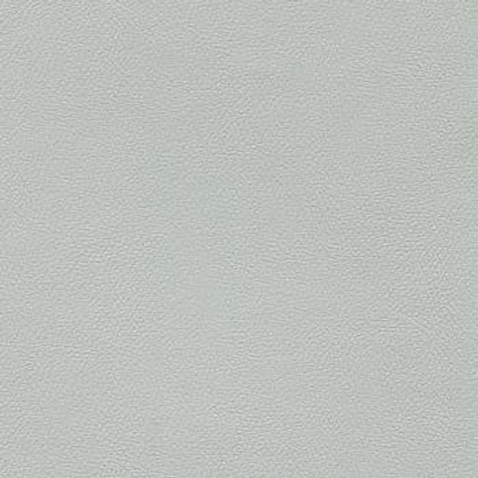 Liberty Platinum by Enduratex Designer Fabric See sample 100% Vinyl  100000 Horizontal: Not Applicable and Vertical: Not Applicable 54"  - Swanky Fabrics -