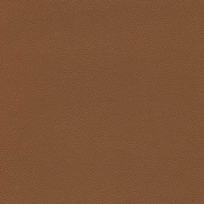 Liberty Brown Sugar 1008516 by CGPC Designer Fabric See sample 100% Vinyl USA or Imported Water-based cleaning agents and foam may be used for cleaning. Cleaning by a professional cleaning service is recommended. </p><p>Repeat: Horizontal: and Vertical: 54" - Swanky Fabrics -