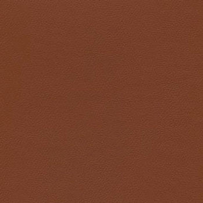 Liberty Chocolate 1008518 by CGPC Designer Fabric See sample 100% Vinyl USA or Imported Water-based cleaning agents and foam may be used for cleaning. Cleaning by a professional cleaning service is recommended. </p><p>Repeat: Horizontal: and Vertical: 54" - Swanky Fabrics -