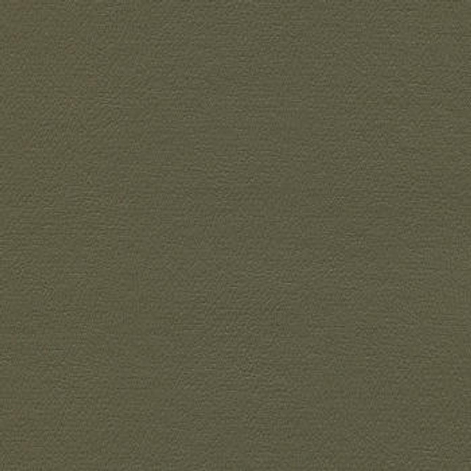 Liberty Eucalyptus by Enduratex Designer Fabric See sample 100% Vinyl  100000 Horizontal: Not Applicable and Vertical: Not Applicable 54"  - Swanky Fabrics -