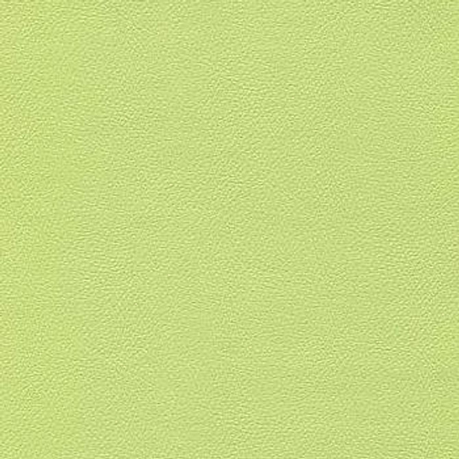 Liberty Light Lime 1008488 by CGPC Designer Fabric See sample 100% Vinyl USA or Imported Water-based cleaning agents and foam may be used for cleaning. Cleaning by a professional cleaning service is recommended. </p><p>Repeat: Horizontal: and Vertical: 54" - Swanky Fabrics -