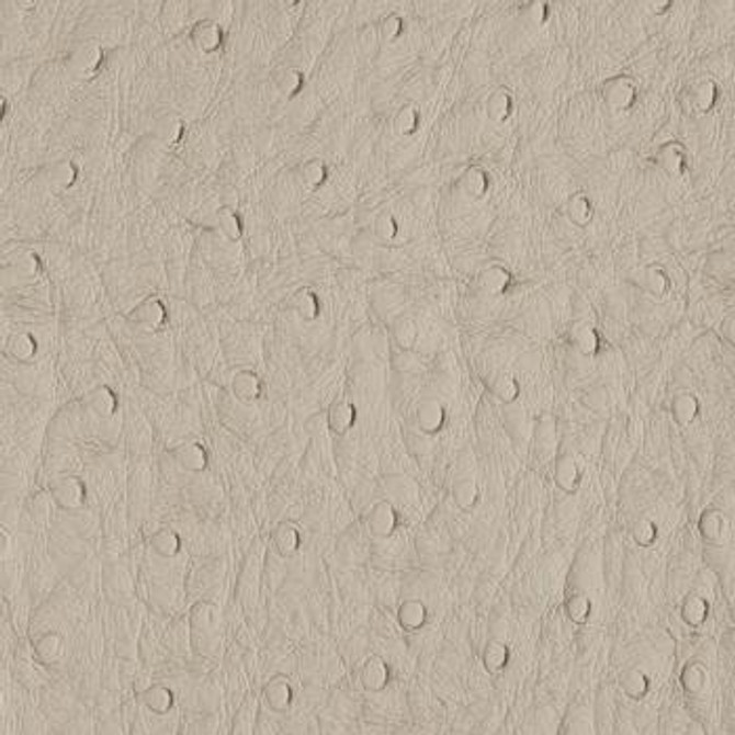Bondi Stone PBO-004 by Nassimi Designer Fabric See sample 100% Vinyl USA or Imported Water-based cleaning agents and foam may be used for cleaning. Cleaning by a professional cleaning service is recommended. </p><p>Repeat: Horizontal: and Vertical: 54" - Swanky Fabrics -