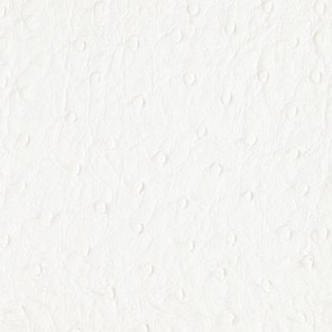 Bondi Snow White by Nassimi Designer Fabric See sample 100% Vinyl  300000 Horizontal: Not Applicable and Vertical: Not Applicable 54"  - Swanky Fabrics -