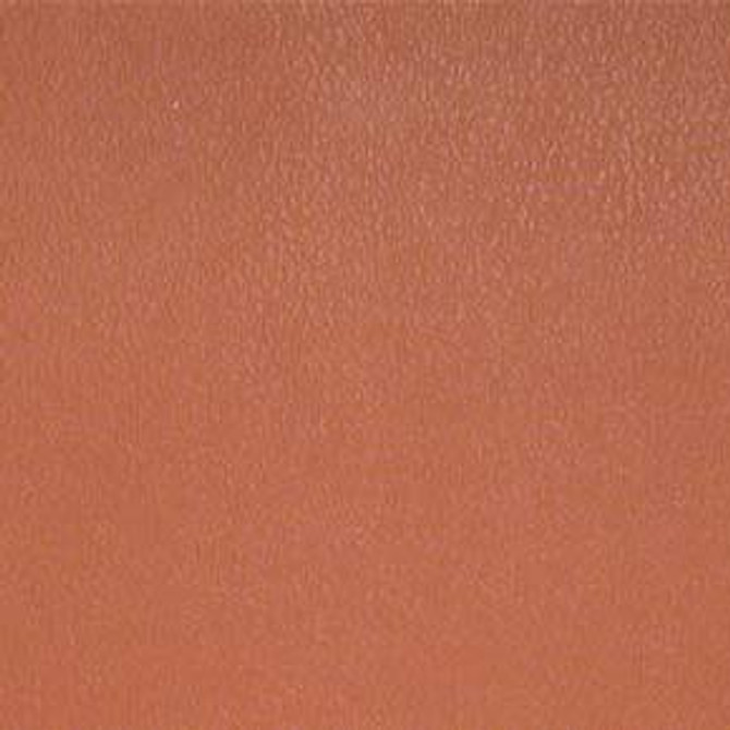 Esprit Rose ESP 137 by Nassimi Designer Fabric our website for purchase 100% Vinyl USA or Asia Water-based cleaning agents and foam may be used for cleaning. This fabric may also be cleaned with mild, water-free solvents. Cleaning by a professional cleaning service is recommended. Horizontal: - and Vertical: - 54" - Swanky Fabrics -