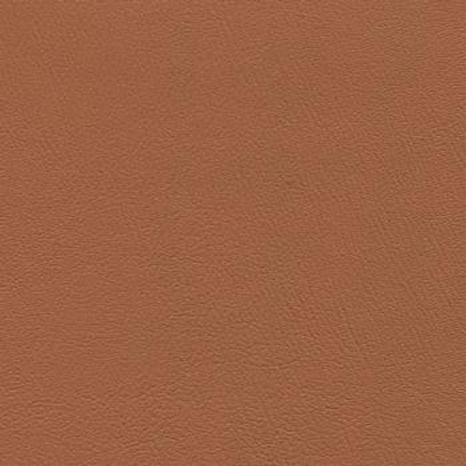 Prizm Outback PRZ-018 by CGPC Designer Fabric See sample 100% Vinyl USA or Imported Water-based cleaning agents and foam may be used for cleaning. Cleaning by a professional cleaning service is recommended.  54  - Swanky Fabrics -
