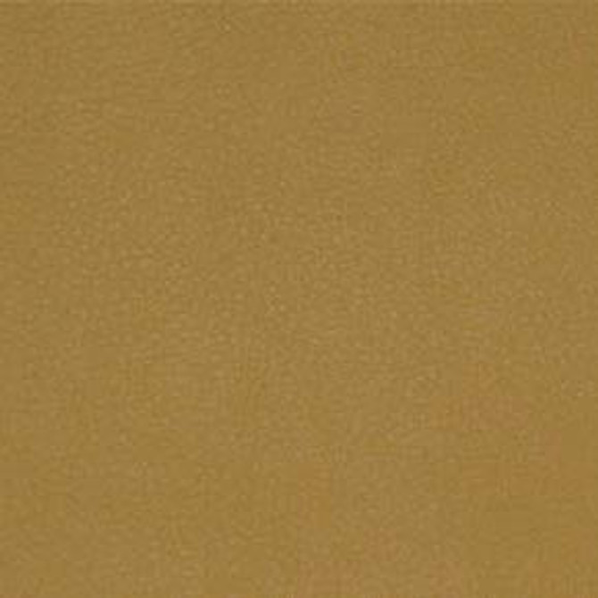 Persuasion Maize TPE-016 by Nassimi Designer Fabric our website for purchase 100% Vinyl USA or Asia Water-based cleaning agents and foam may be used for cleaning. This fabric may also be cleaned with mild, water-free solvents. Cleaning by a professional cleaning service is recommended. Horizontal: - and Vertical: - 54" - Swanky Fabrics -