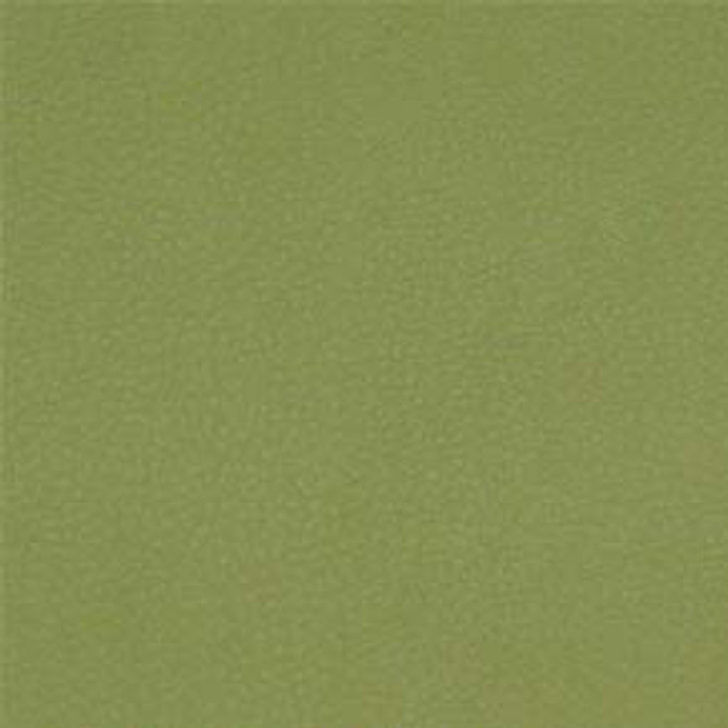 Persuasion Citronella by Nassimi Designer Fabric See sample 100% Vinyl  250000 Horizontal: Not Applicable and Vertical: Not Applicable 54"  - Swanky Fabrics -