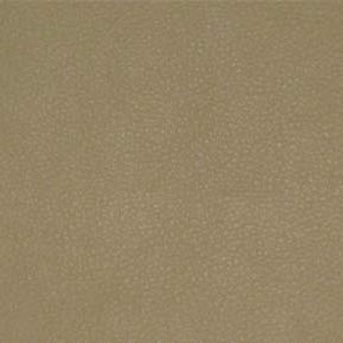 Persuasion Sand TPE-022 by Nassimi Designer Fabric See sample 100% Vinyl USA or Imported Water-based cleaning agents and foam may be used for cleaning. Cleaning by a professional cleaning service is recommended. </p><p>Repeat: Horizontal: and Vertical: 54" - Swanky Fabrics -