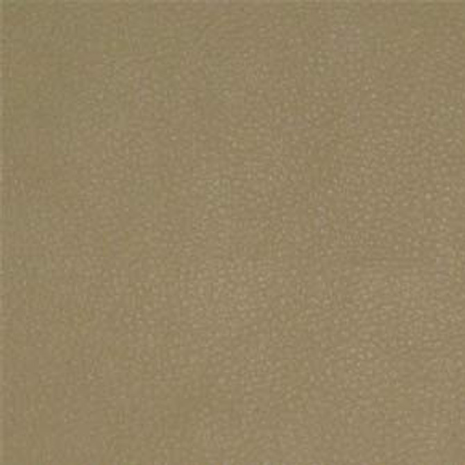 Persuasion Sand by Nassimi Designer Fabric See sample 100% Vinyl  250000 Horizontal: Not Applicable and Vertical: Not Applicable 54"  - Swanky Fabrics -