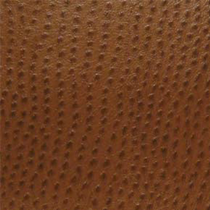 Phoenix Outback by Nassimi Designer Fabric See sample 100% Vinyl  250000 Horizontal: Not Applicable and Vertical: Not Applicable 54"  - Swanky Fabrics -