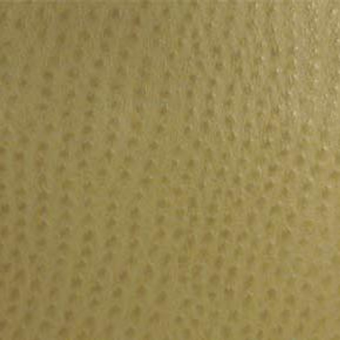 Phoenix Willow TPH-013 by Nassimi Designer Fabric our website for purchase 100% Vinyl USA or Asia Water-based cleaning agents and foam may be used for cleaning. This fabric may also be cleaned with mild, water-free solvents. Cleaning by a professional cleaning service is recommended. Horizontal: - and Vertical: - 54" - Swanky Fabrics -