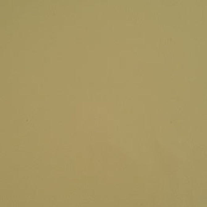Prodigy Cream PRO-683 by Morbern Designer Fabric See sample 100% Vinyl USA or Imported Water-based cleaning agents and foam may be used for cleaning. Cleaning by a professional cleaning service is recommended.  54  - Swanky Fabrics -