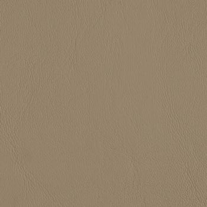 Allante Light Sandalwood AL 874 by Morbern Designer Fabric our website for purchase 100% Vinyl USA or Asia Water-based cleaning agents and foam may be used for cleaning. Cleaning by a professional cleaning service is recommended. Horizontal: - and Vertical: - 54" - Swanky Fabrics -