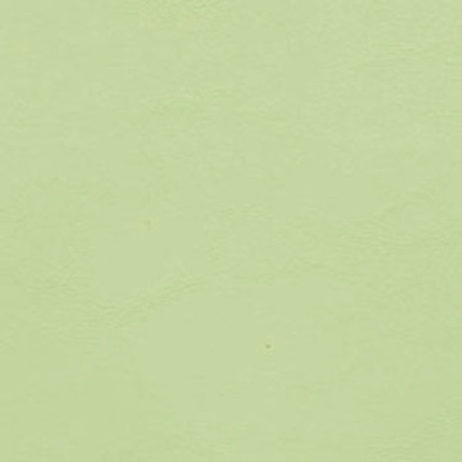 Allante Meadow AL 894 by Morbern Designer Fabric See sample 100% Vinyl USA or Imported Water-based cleaning agents and foam may be used for cleaning. Cleaning by a professional cleaning service is recommended.  54  - Swanky Fabrics -