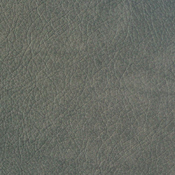 Heritage Meteor PHE-010 by Morbern Designer Fabric See sample 100% Vinyl USA or Imported Water-based cleaning agents and foam may be used for cleaning. Cleaning by a professional cleaning service is recommended.  54  - Swanky Fabrics -