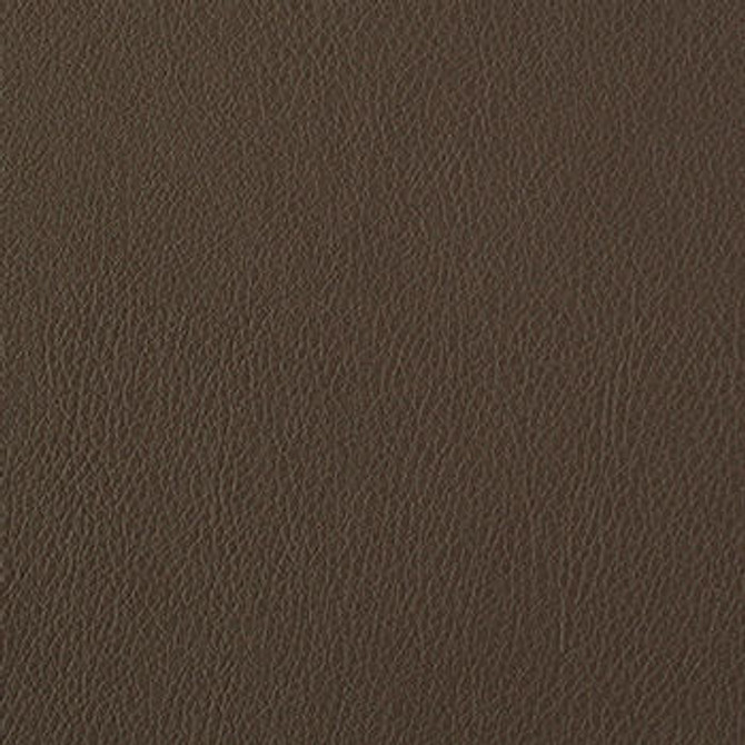 Foundation Peat PFO-014 by Nassimi Designer Fabric See sample 100% Vinyl USA or Imported Water-based cleaning agents and foam may be used for cleaning. Cleaning by a professional cleaning service is recommended.  54  - Swanky Fabrics -