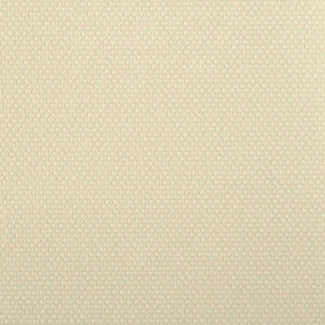 Connect Canvas PCO-009 by Nassimi Designer Fabric our website for purchase 100% Vinyl USA or Asia Water-based cleaning agents and foam may be used for cleaning. This fabric may also be cleaned with mild, water-free solvents. Cleaning by a professional cleaning service is recommended. Horizontal: - and Vertical: - 54" - Swanky Fabrics -