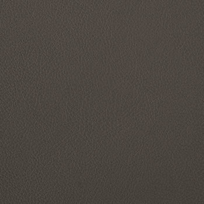 Foundation Seal PFO-016 by Nassimi Designer Fabric See sample 100% Vinyl USA or Imported Water-based cleaning agents and foam may be used for cleaning. Cleaning by a professional cleaning service is recommended. </p><p>Repeat: Horizontal: and Vertical: 54" - Swanky Fabrics -