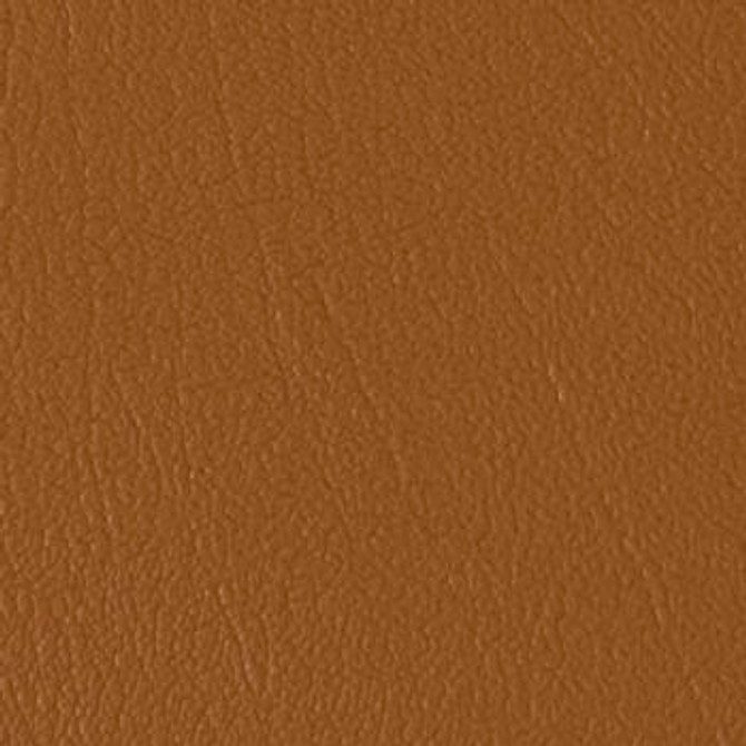 Colorguard Outback B439164 by Omnova Designer Fabric See sample 100% Vinyl USA or Imported Water-based cleaning agents and foam may be used for cleaning. Cleaning by a professional cleaning service is recommended. </p><p>Repeat: Horizontal: and Vertical: 54" - Swanky Fabrics -