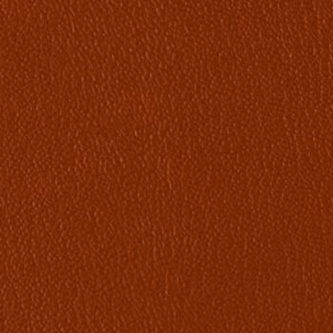 Colorguard Manzanita B439160 by Omnova Designer Fabric See sample 100% Vinyl USA or Imported Water-based cleaning agents and foam may be used for cleaning. Cleaning by a professional cleaning service is recommended. </p><p>Repeat: Horizontal: and Vertical: 54" - Swanky Fabrics -