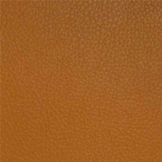 Classic Saffron by Nassimi Designer Fabric See sample 100% Vinyl  500000 Horizontal: Not Applicable and Vertical: Not Applicable 54"  - Swanky Fabrics -