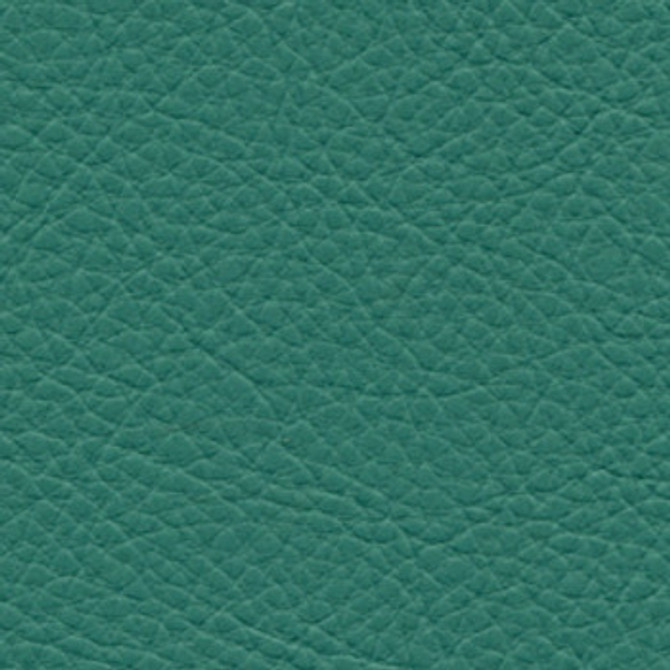 Classic Bayou SCL-101 by Nassimi Designer Fabric our website for purchase 100% Vinyl USA or Asia Water-based cleaning agents and foam may be used for cleaning. This fabric may also be cleaned with mild, water-free solvents. Cleaning by a professional cleaning service is recommended. Horizontal: - and Vertical: - 54" - Swanky Fabrics -