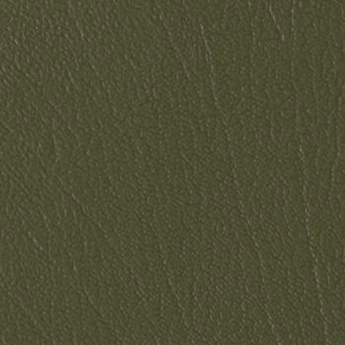 Colorguard Everglade B475209 by Omnova Designer Fabric See sample 100% Vinyl USA or Imported Water-based cleaning agents and foam may be used for cleaning. Cleaning by a professional cleaning service is recommended. </p><p>Repeat: Horizontal: and Vertical: 54" - Swanky Fabrics -