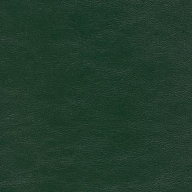 Savoy Evergreen SAV-9761 by Spradling Designer Fabric our website for purchase 100% Vinyl USA or Asia Water-based cleaning agents and foam may be used for cleaning. This fabric may also be cleaned with mild, water-free solvents. Cleaning by a professional cleaning service is recommended. Horizontal: - and Vertical: - 54" - Swanky Fabrics -
