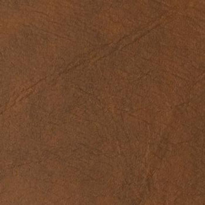 Expressions Saddle EX 254 by Naugahyde Designer Fabric our website for purchase 100% Vinyl USA or Asia Water-based cleaning agents and foam may be used for cleaning. Cleaning by a professional cleaning service is recommended. Horizontal: - and Vertical: - 54" - Swanky Fabrics -