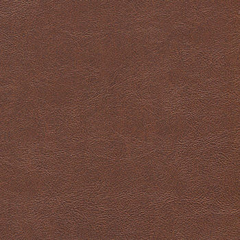 Alchemy Rustic Gate ALC-519 by CGPC Designer Fabric See sample 100% Vinyl USA or Imported Water-based cleaning agents and foam may be used for cleaning. Cleaning by a professional cleaning service is recommended. </p><p>Repeat: Horizontal: and Vertical: 54" - Swanky Fabrics -