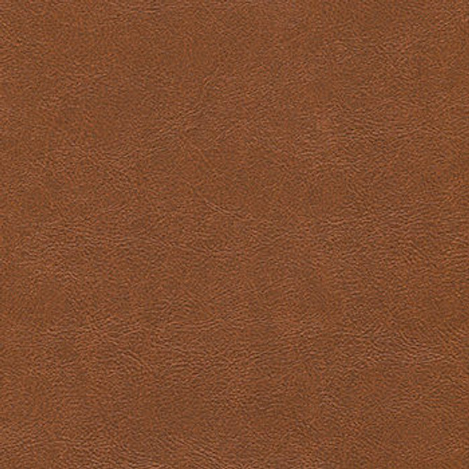 Alchemy Lucky Penny ALC-515 by CGPC Designer Fabric See sample 100% Vinyl USA or Imported Water-based cleaning agents and foam may be used for cleaning. Cleaning by a professional cleaning service is recommended. </p><p>Repeat: Horizontal: and Vertical: 54" - Swanky Fabrics -