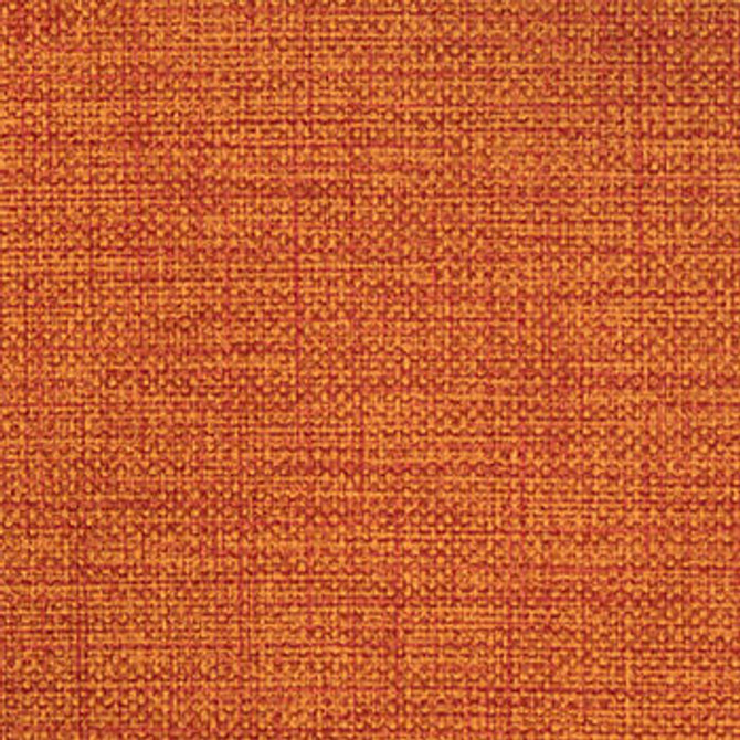 Twist Sari by Nassimi Designer Fabric See sample 100% Vinyl  250000 Horizontal: Not Applicable and Vertical: Not Applicable 54"  - Swanky Fabrics -