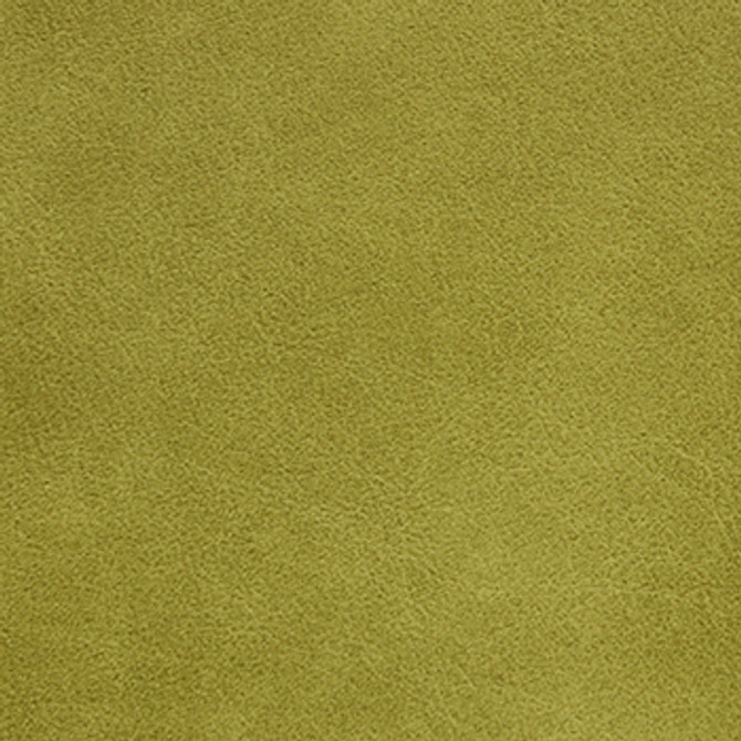 Traveler Sprout STR-017 by Nassimi Designer Fabric See sample 100% Vinyl USA or Imported Water-based cleaning agents and foam may be used for cleaning. Cleaning by a professional cleaning service is recommended.  54  - Swanky Fabrics -