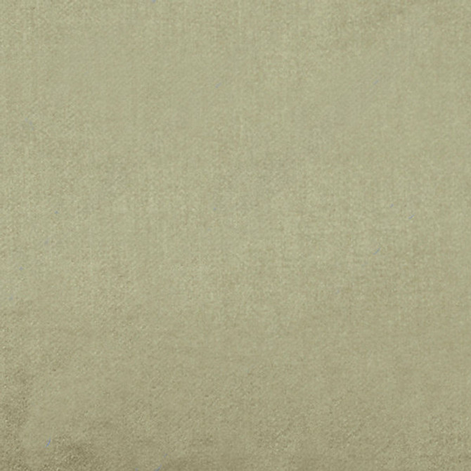 Academy/Bisque 36288-002 by Scalamandre Designer Fabric ESSENTIAL COTTONS 67% COTTON 33% SILK INDIA LIGHT DUTY Horizontal: and Vertical: 54" - Swanky Fabrics -
