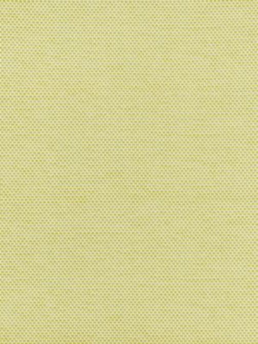 Berkshire Weave Lime BKK651150005 by Boris Kroll Designer Fabric BORIS KROLL - CALYPSO - CRYPTON HOME 100% COTTON U.S.A. HEAVY DUTY Horizontal: and Vertical: 57.13 - Swanky Fabrics -
