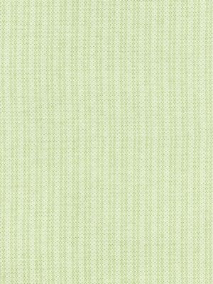 Tahiti Tweed Palm SC271920002 by Scalamandre Designer Fabric ISOLA INDOOR / OUTDOOR 100% POLYPROPYLENE BELGIUM HEAVY DUTY Horizontal: 0" and Vertical: 1.5" 59 - Swanky Fabrics -