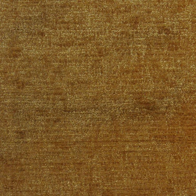 Plush Nugget by RM CoCo Designer Fabric Plush 100% Polyester Chenille - Dry clean only Horizontal: 0 and Vertical: 0 54 - Swanky Fabrics -
