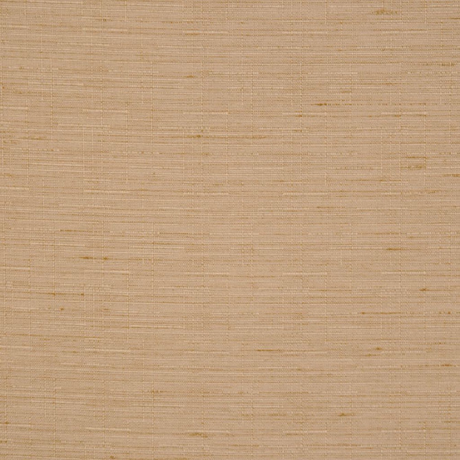 Hearsay Cocoa by RM CoCo Designer Fabric Rumor Has It 100% Polyester See Sample 0 Horizontal: 0 and Vertical: 0 54 - Swanky Fabrics -