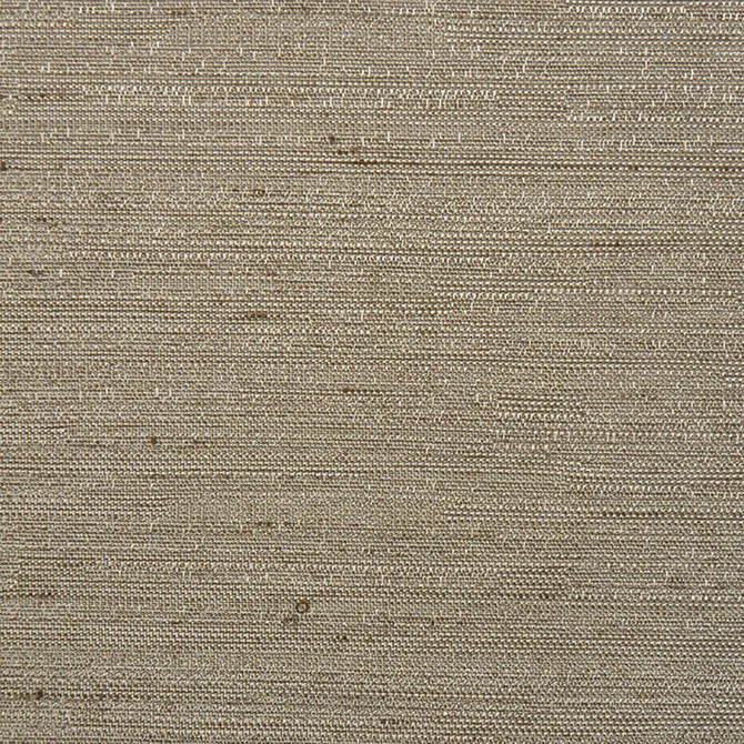 Bungalow Taupe by RM CoCo Designer Fabric Final Draft 100% POLYESTER Horizontal: 0 and Vertical: 0 55 - Swanky Fabrics -