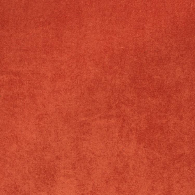 Ascot Nectar by RM CoCo Designer Fabric Ascot 90% Polyester 10% Nylon Horizontal: 0 and Vertical: 0 55 - Swanky Fabrics -